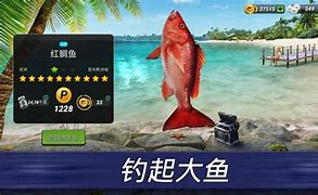 仿真钓鱼游戏手机版破解版破解版游戏盒子app排行榜-第2张图片-太平洋在线下载