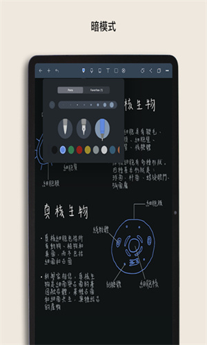 noteshelf安卓版旧版noteshelf安卓破解版下载-第2张图片-太平洋在线下载
