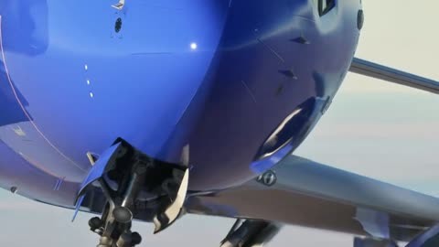 737模拟飞行苹果版买一个737模拟飞行舱