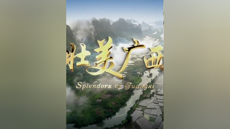 ctgn安卓版下载cgtnapp怎么设置中文-第2张图片-太平洋在线下载