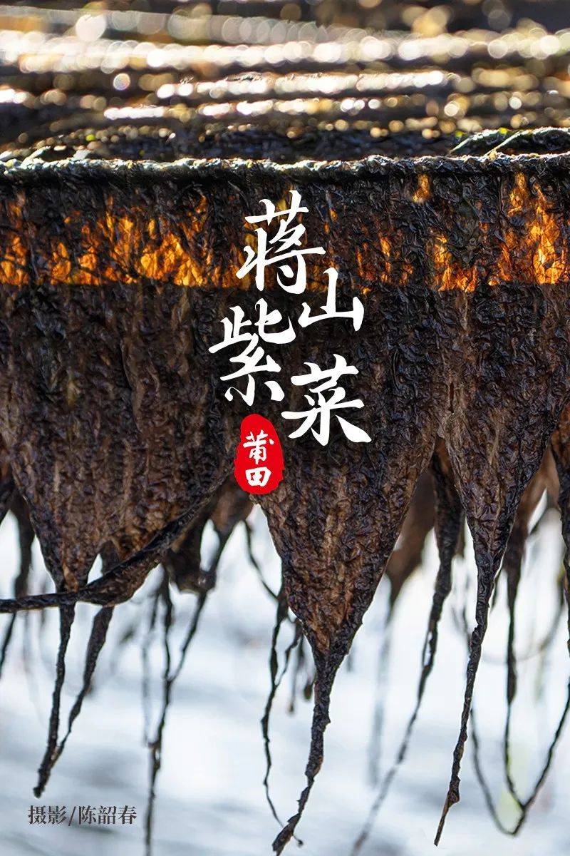美食山村安卓版山村瑶哥美食视频全集