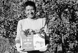 蒙德版小苹果大香蕉x小苹果歌曲