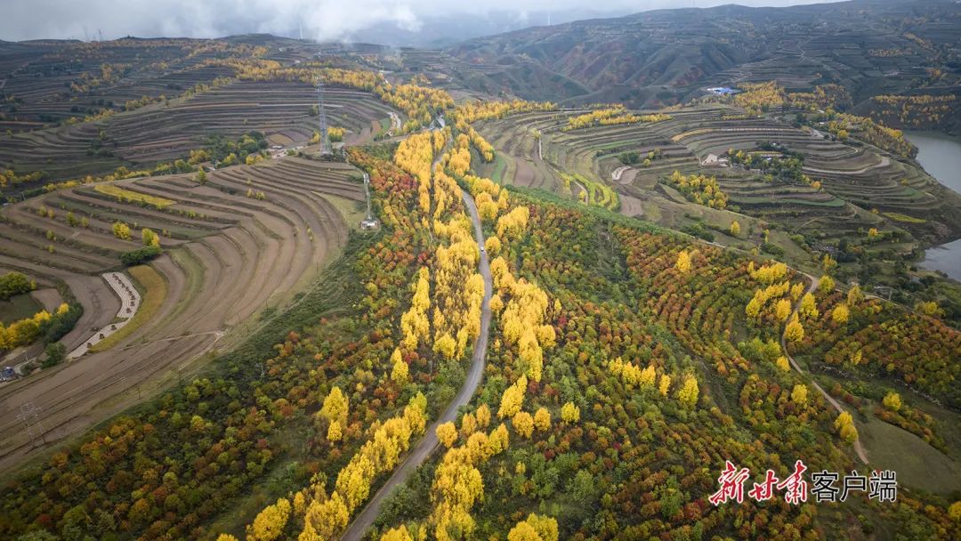 新通渭客户端新甘肃客户端电脑版-第2张图片-太平洋在线下载