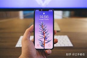 neets苹果版没有吗neetsapp怎么下载