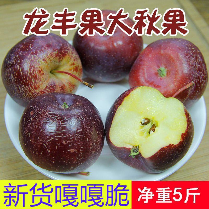厚版小苹果小苹果cf助手官网
