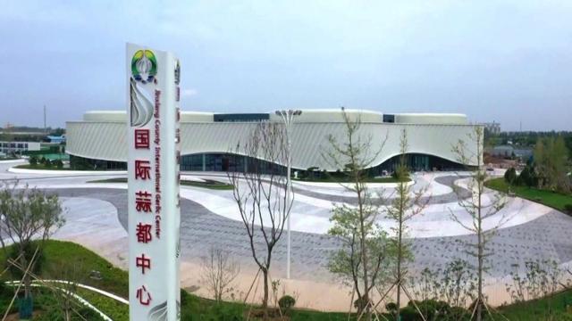 牡丹国际大蒜交易客户端牡丹国际交易中心软件下载-第2张图片-太平洋在线下载